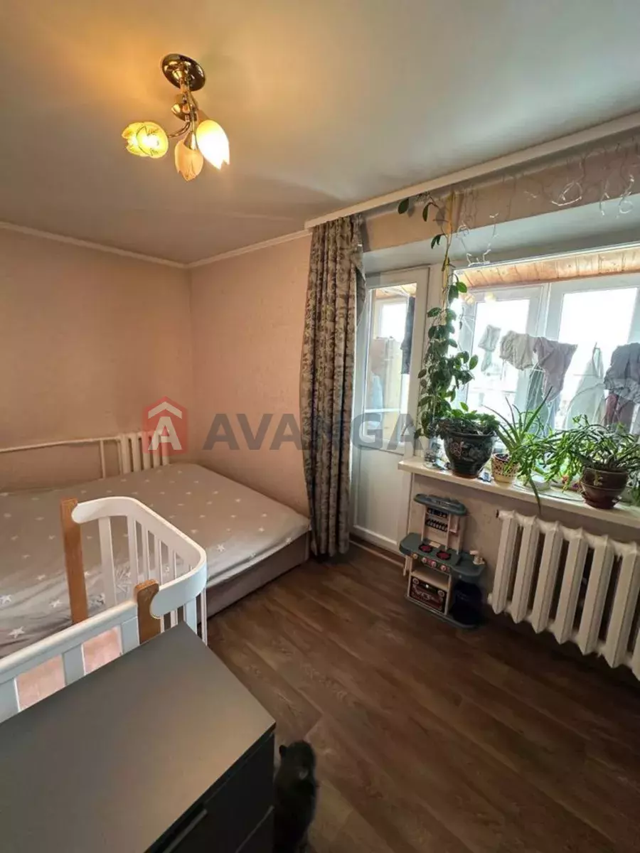 2 ��. ��������, 42/-/6 ��. �., 5/5 ������ ���� 8