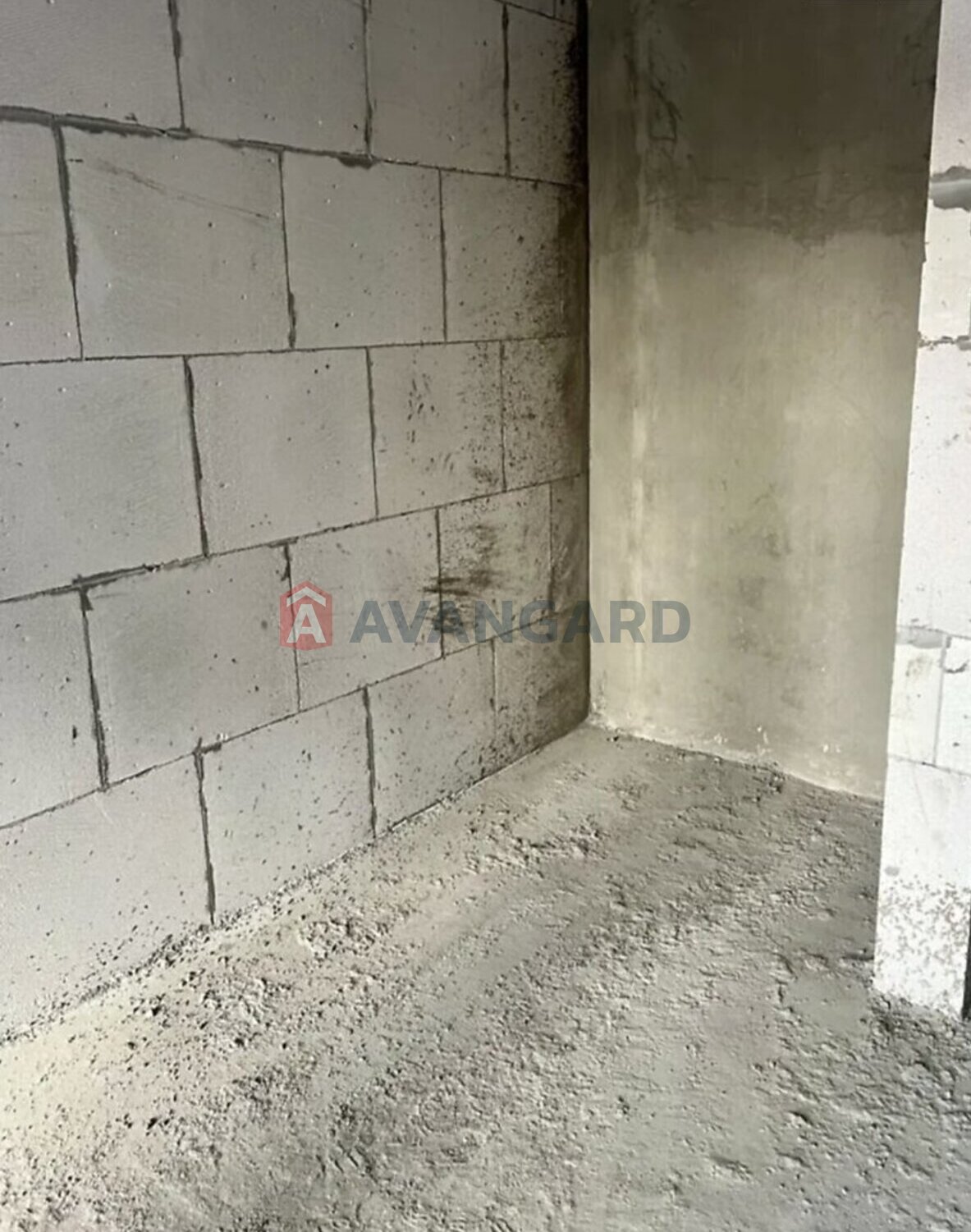 1 ��. ��������, 51/51/16 ��. �., 2/10 ������ ���� 3