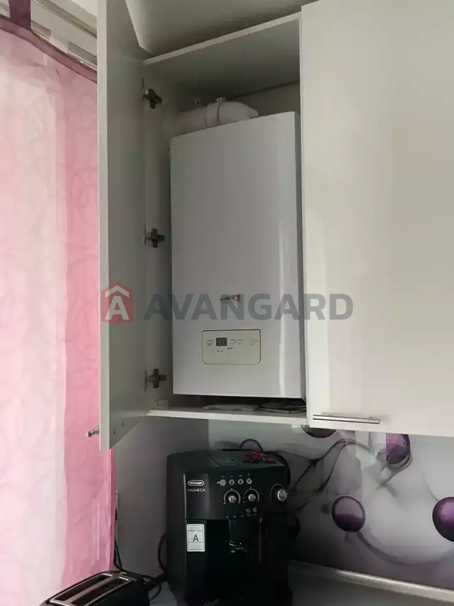 3 ��. ��������, 66/-/- ��. �., 9/9 ������ ���� 8