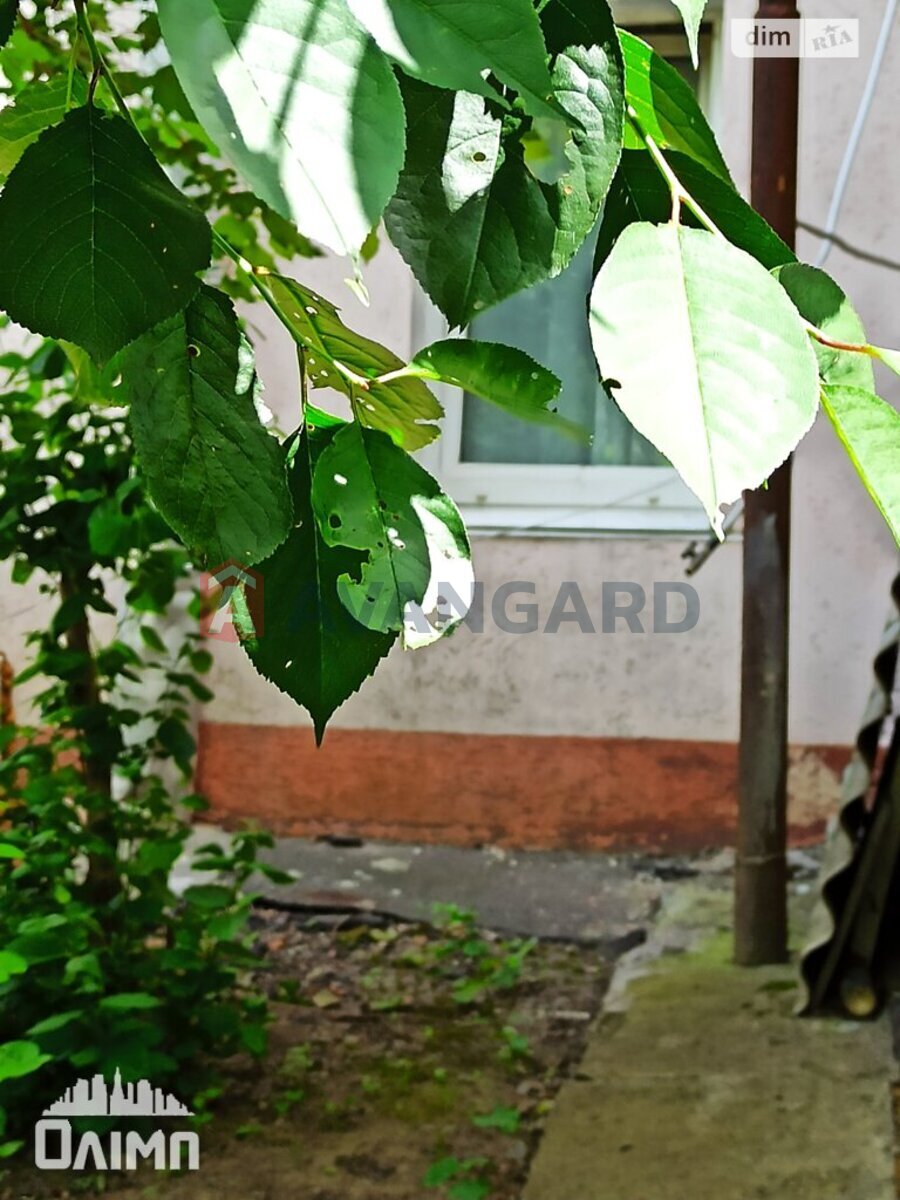 2 ��. ��������, 35/23/7 ��. �., 1/2 ������ ���� 7