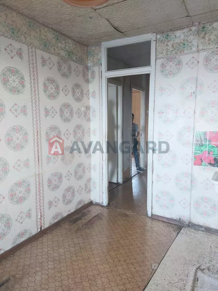 3 ����. ��������, 75/-/7 ��. �., 6/16 ���� ���� 13