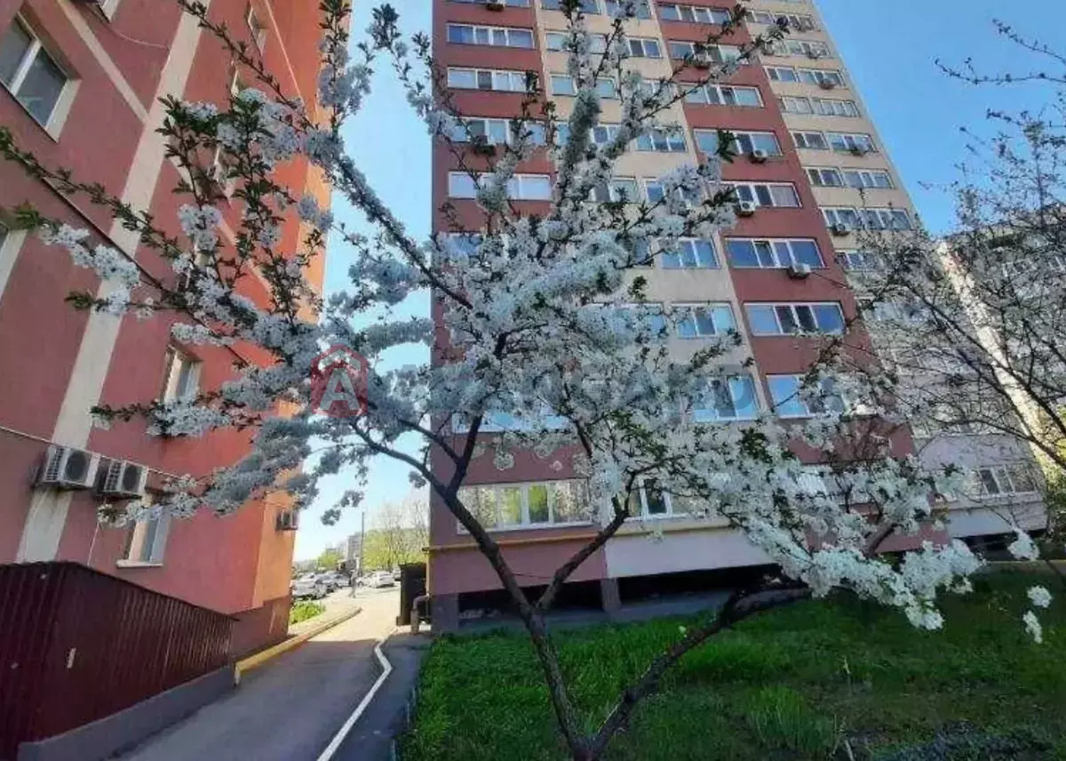 2 ��. ��������, 74/-/26 ��. �., 6/15 ������ ���� 2