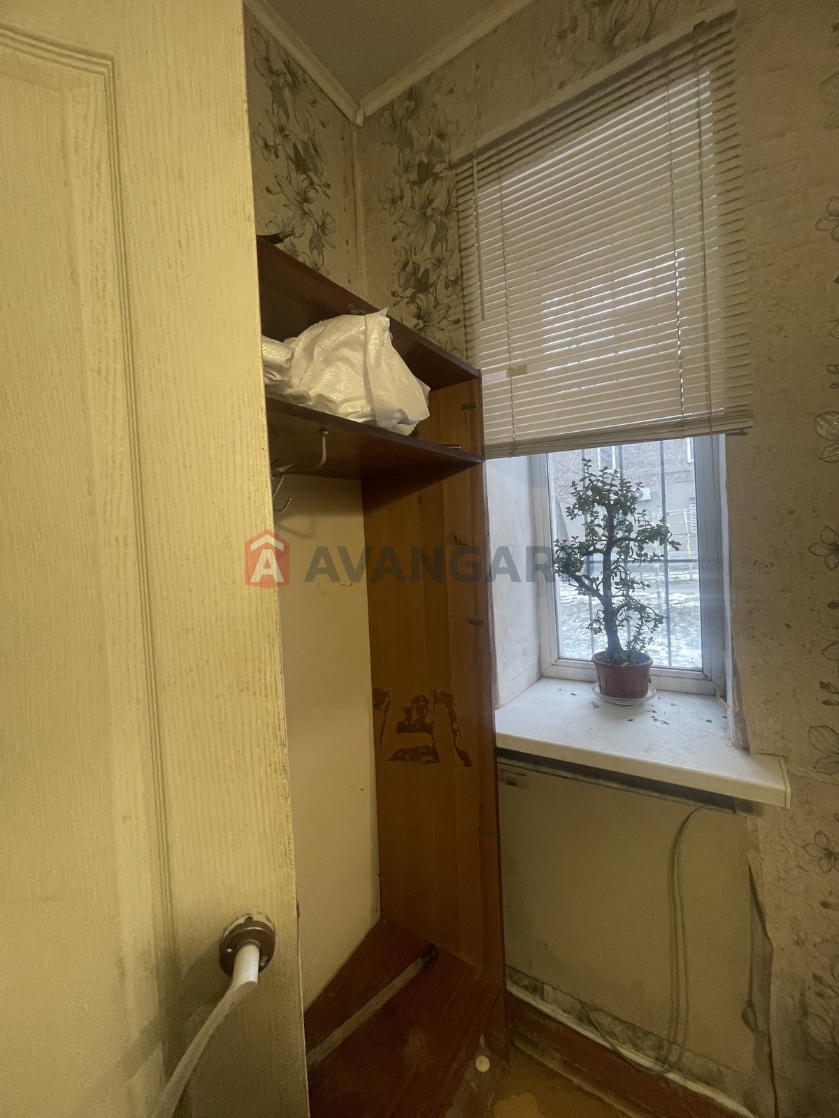 2 ����. ��������, 47,8/-/6,3 ��. �., 1/2 ���� ���� 20