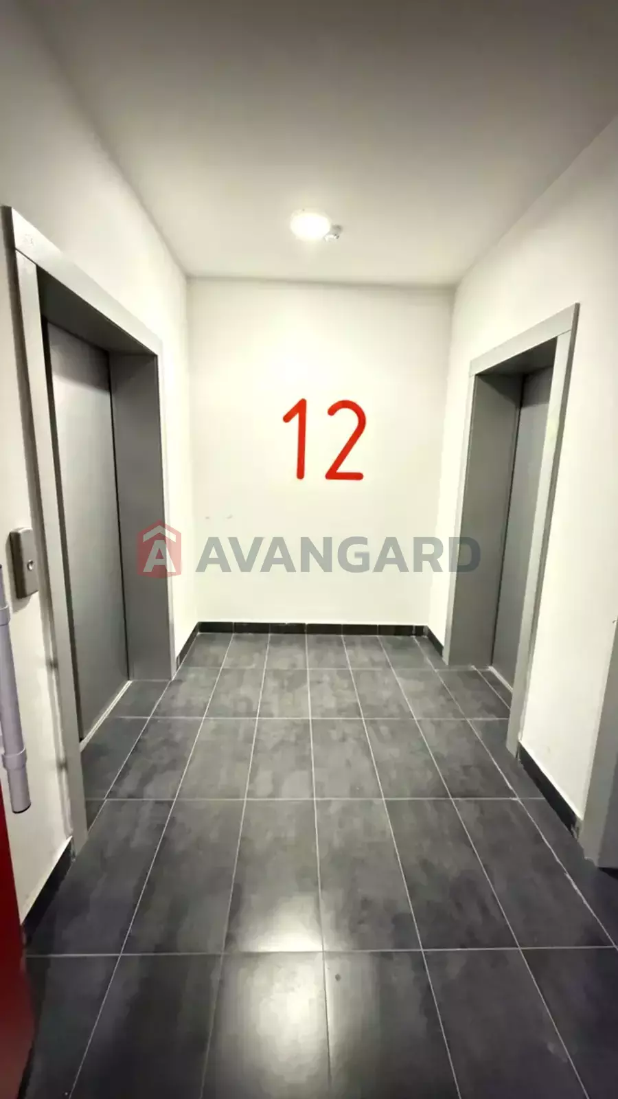 1 ����. ��������, 36/-/15 ��. �., 12/26 ���� ���� 6