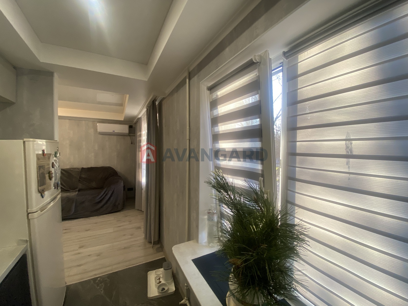 3 ��. ��������, 56/-/6 ��. �., 3/5 ������ ���� 6