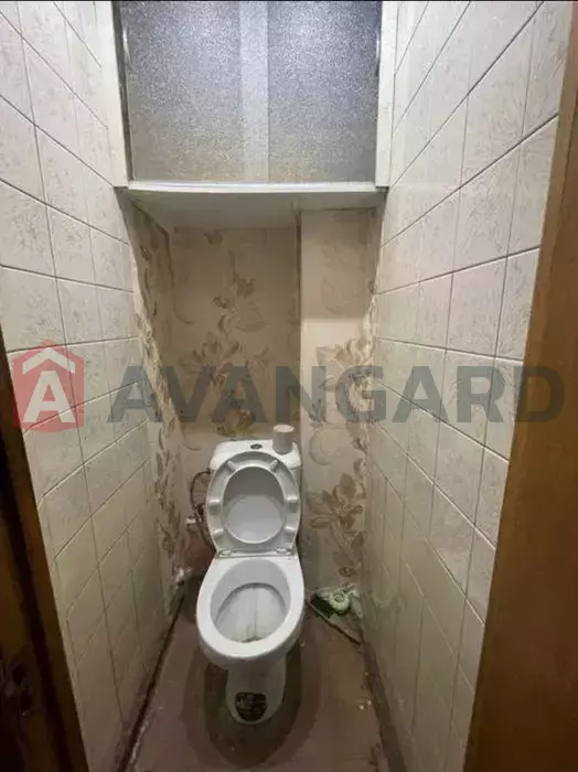 3 ����. ��������, 81/-/8 ��. �., 5/9 ���� ���� 4