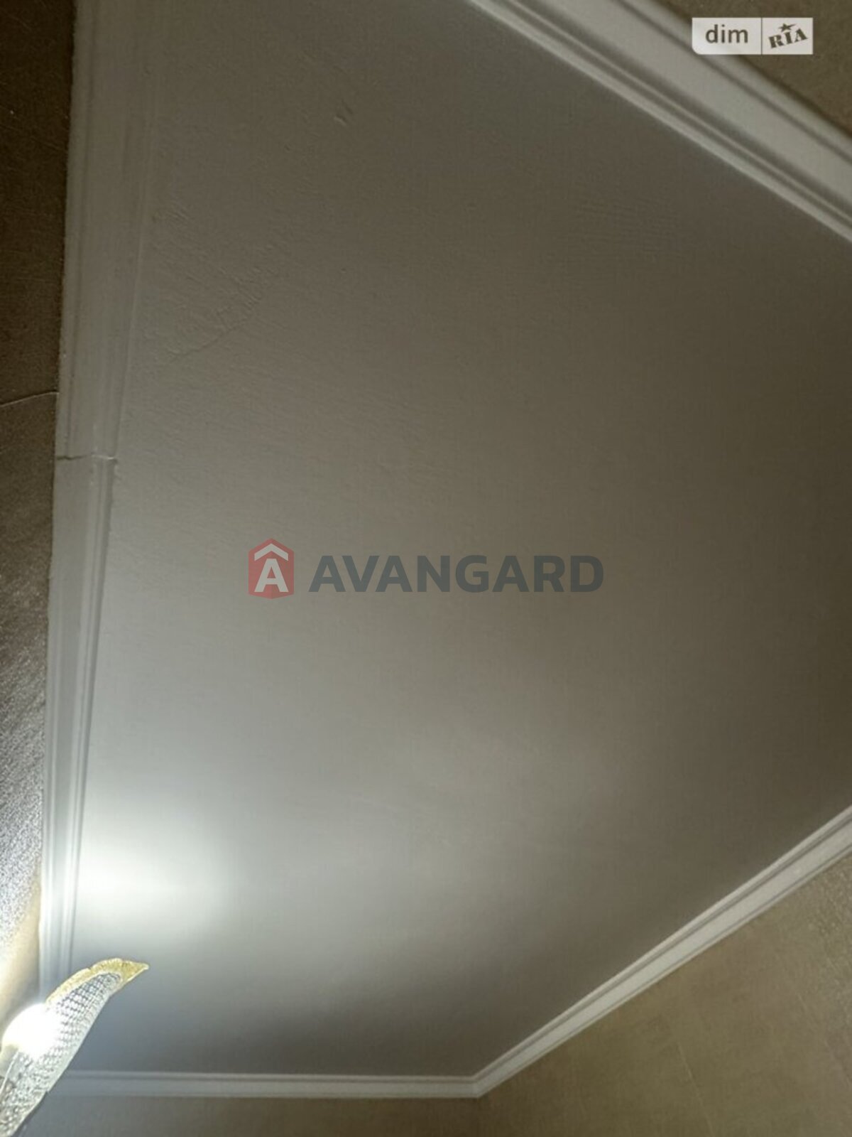 3 ����. ��������, 64/45/8 ��. �., 5/10 ���� ���� 23