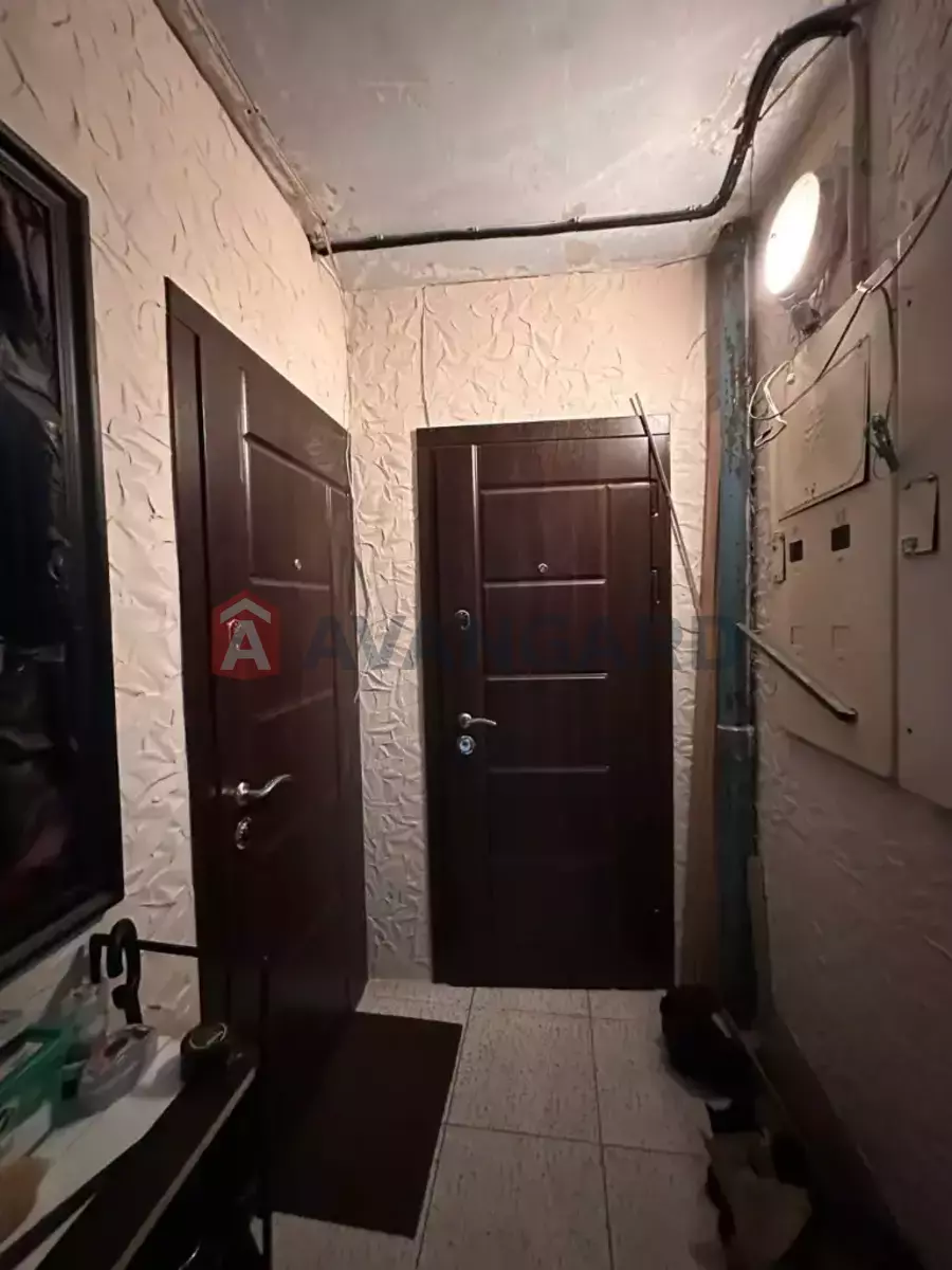 3 ����. ��������, 65/-/8 ��. �., 7/9 ���� ���� 22