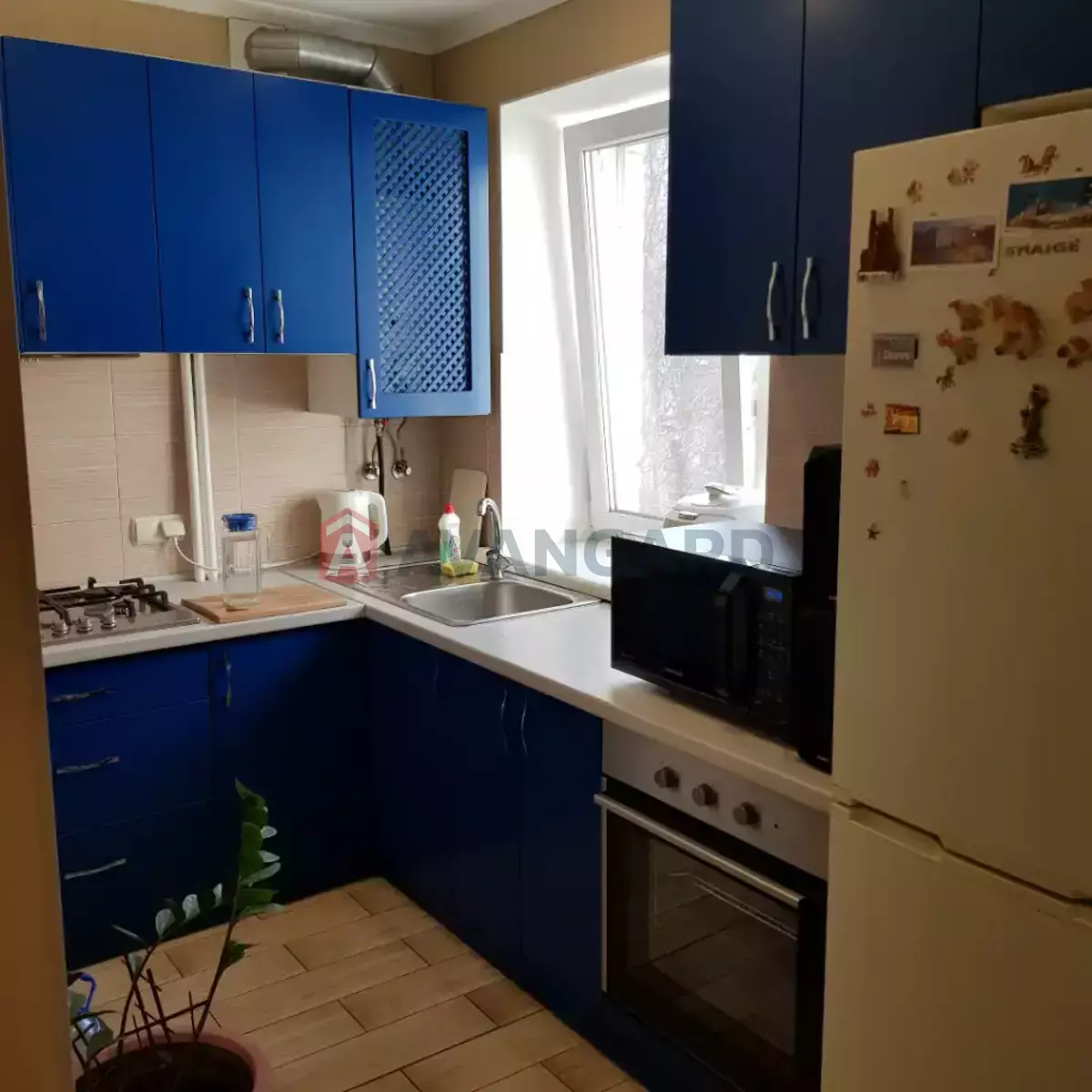 1 ��. ��������, 29/17/4 ��. �., 5/5 ������ ���� 14