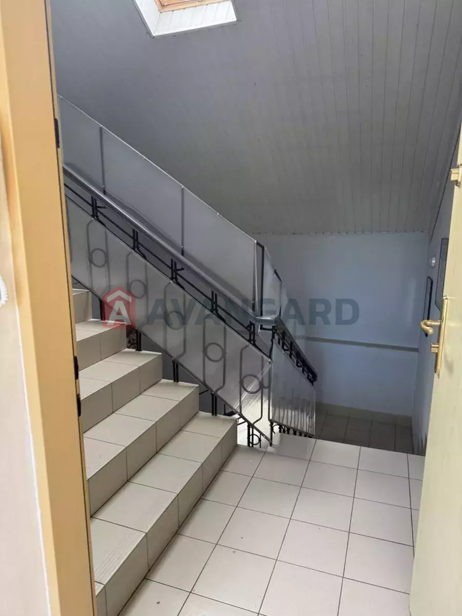 1 ��. ��������, 46/-/5 ��. �., 4/4 ������ ���� 12