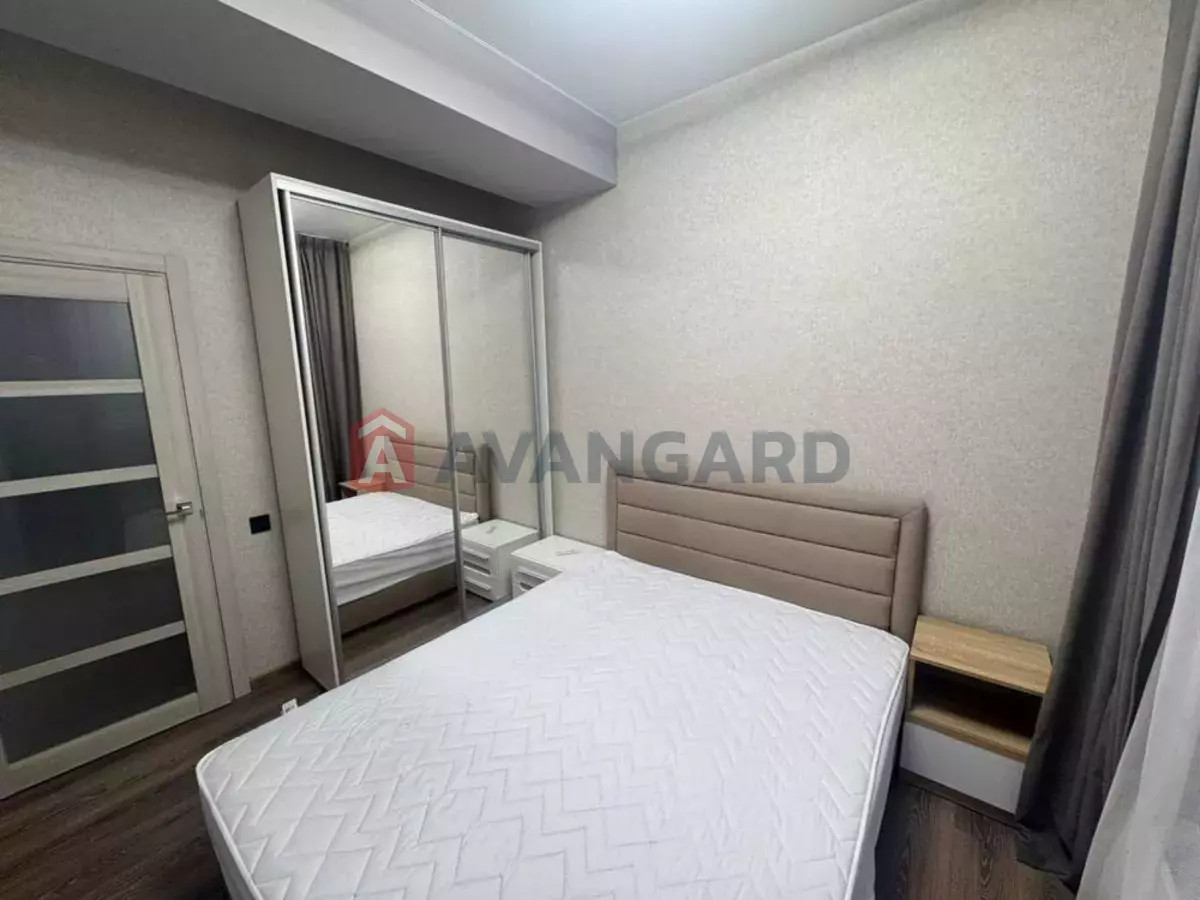 3 ����. ��������, 43/-/20 ��. �., 8/14 ���� ���� 8