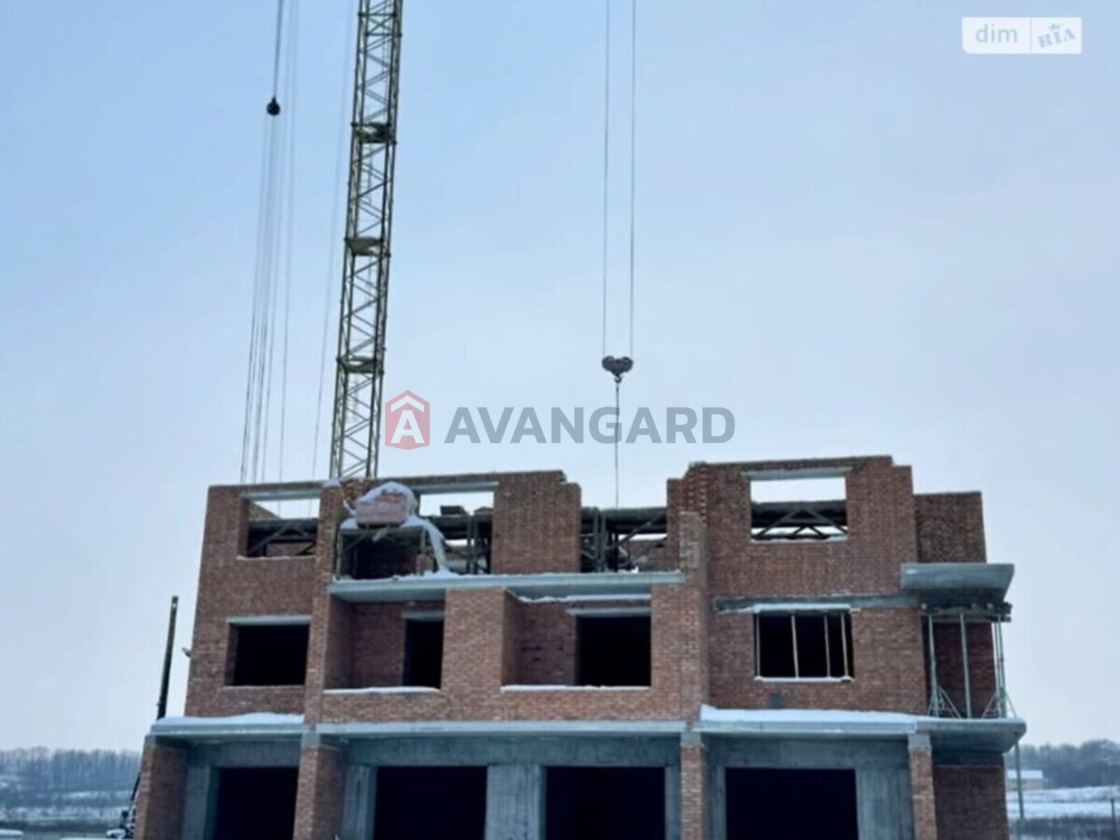 3 ��. ��������, 106/-/- ��. �., 1/11 ������ ���� 8