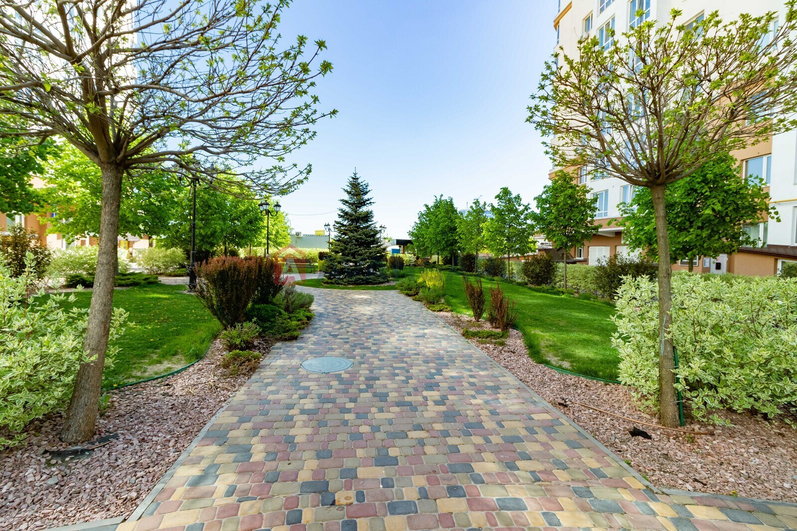 3 ��. ��������, 81/44/20 ��. �., 4/10 ������ ���� 23