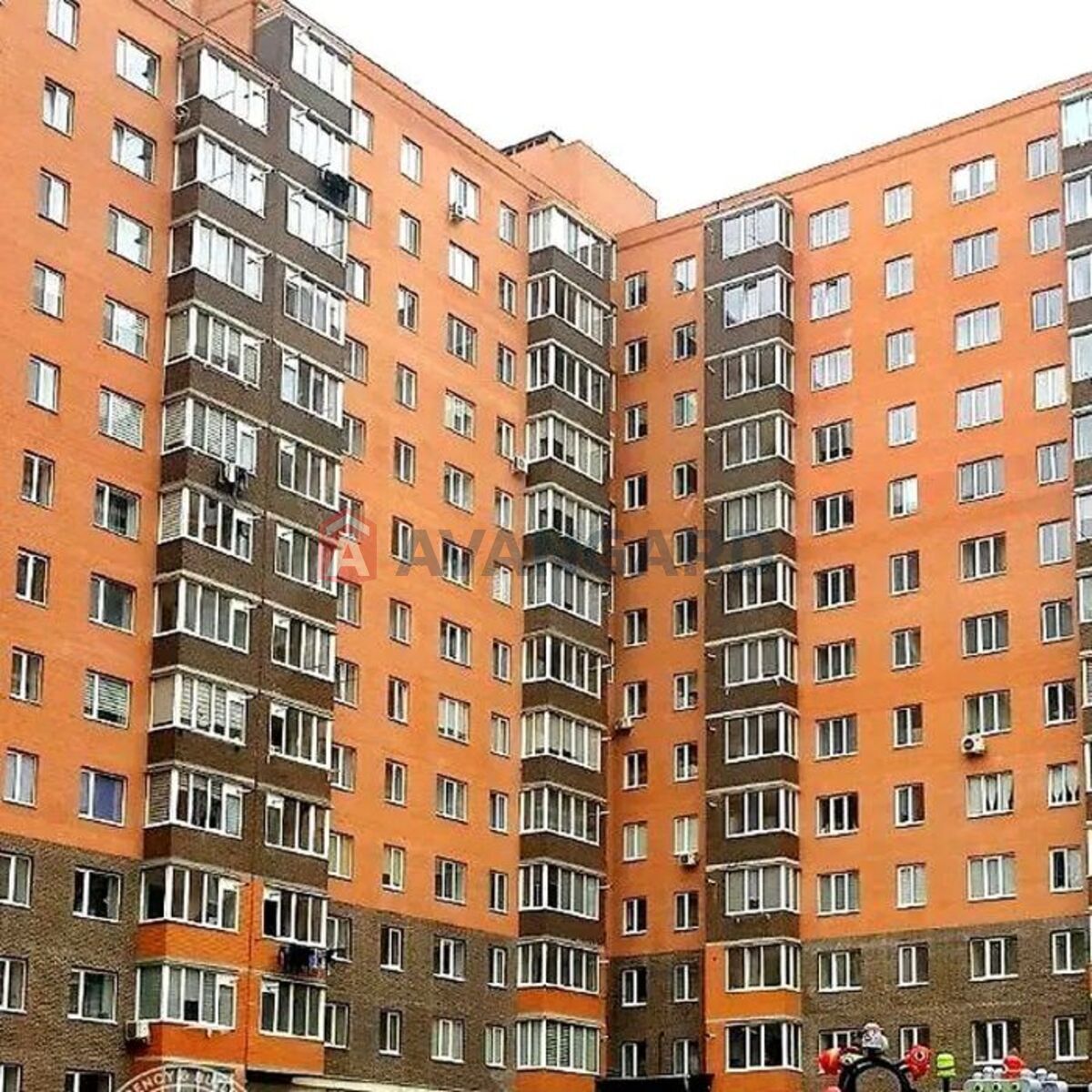 1 . , 55/-/19 . ., 11/12   2