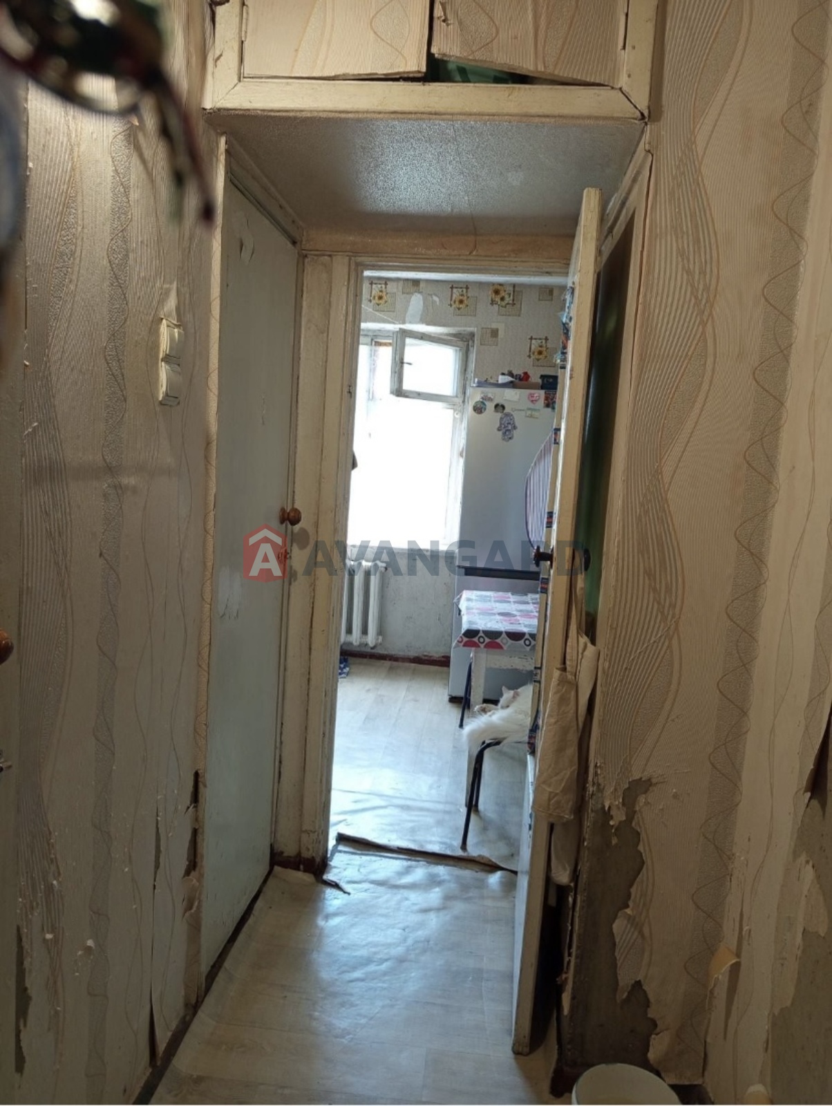 2 ��. ��������, 49/42/8 ��. �., 3/9 ������ ���� 4