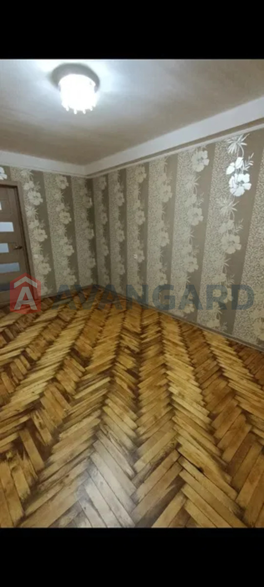 3 . , 55/-/6 . ., 2/5   2