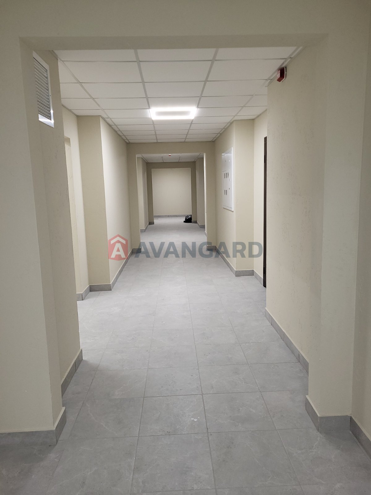 1 ����. ��������, 39,5/10,9/14,14 ��. �., 8/9 ���� ���� 3