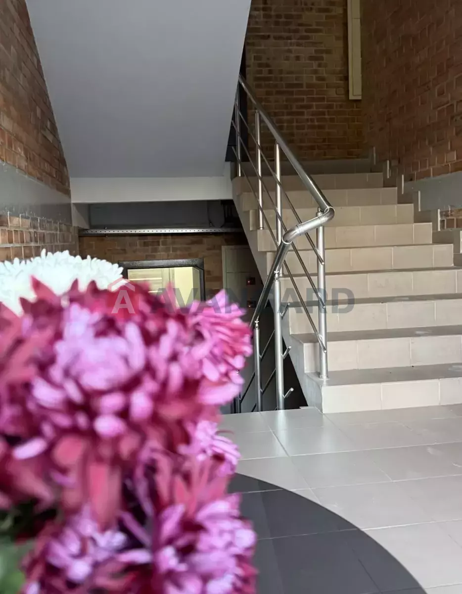 2 . , 42/-/- . ., 2/5   10