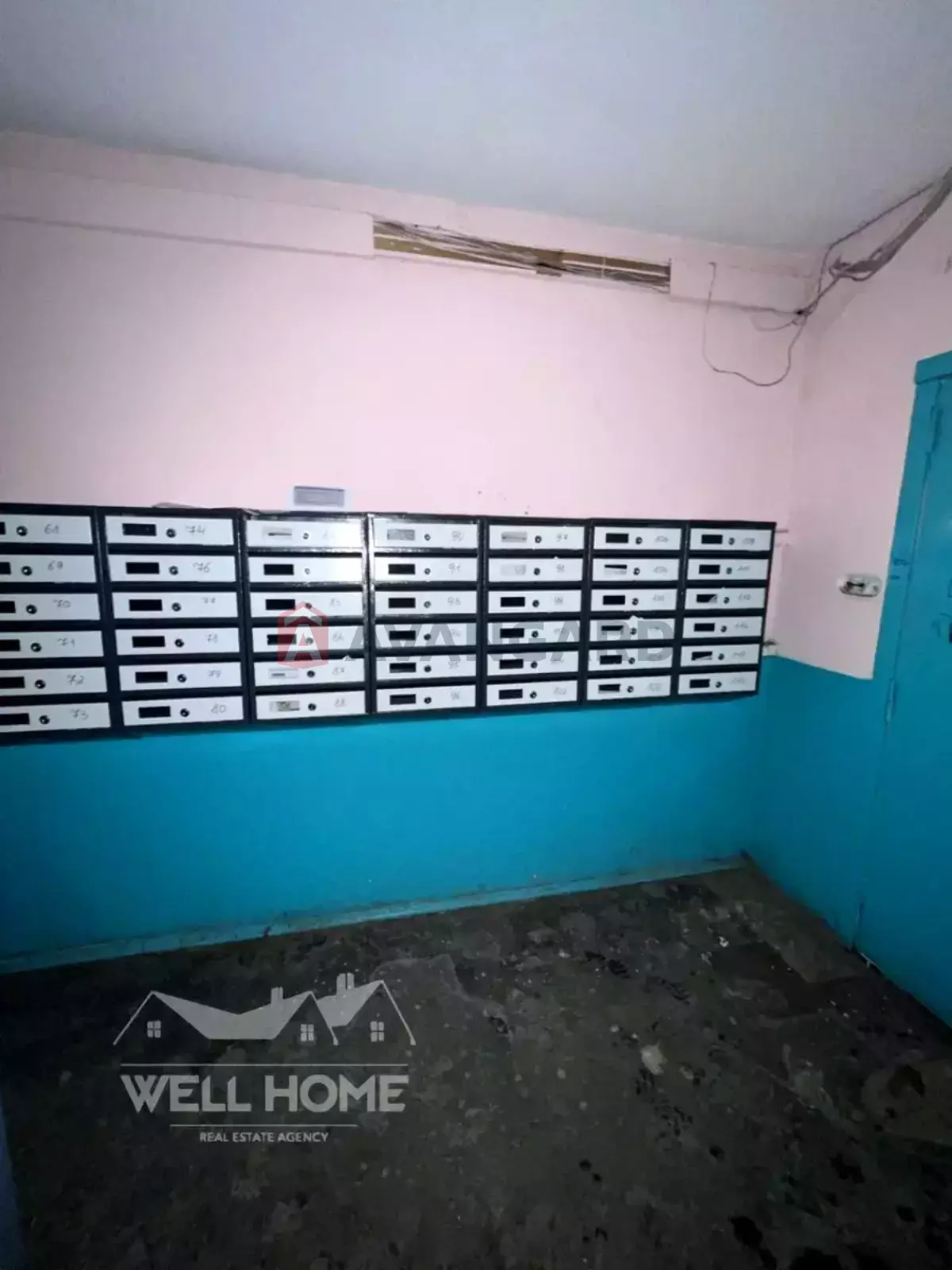 1 ��. ��������, 36/-/7 ��. �., 8/9 ������ ���� 20