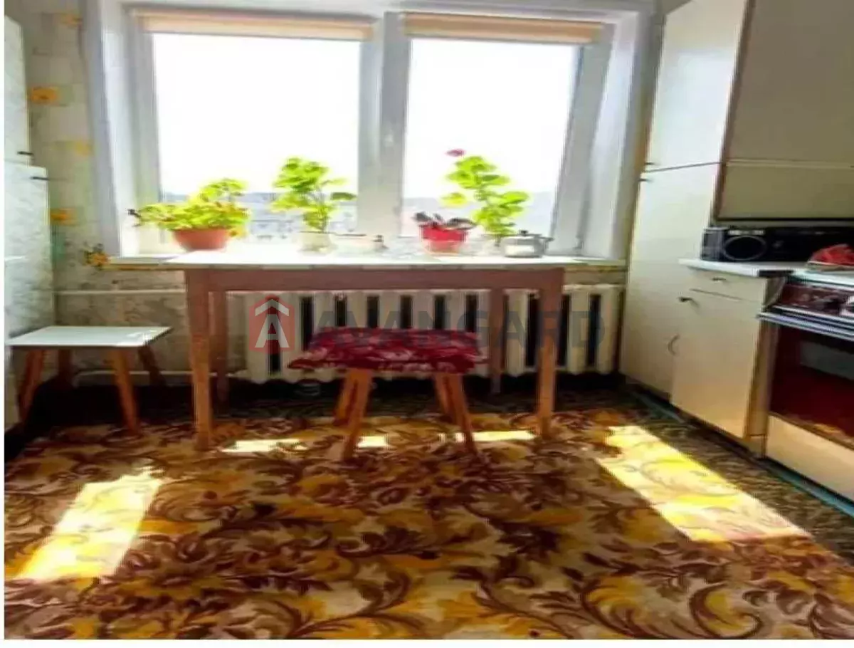 3 ����. ��������, 65/-/8 ��. �., 9/9 ���� ���� 1