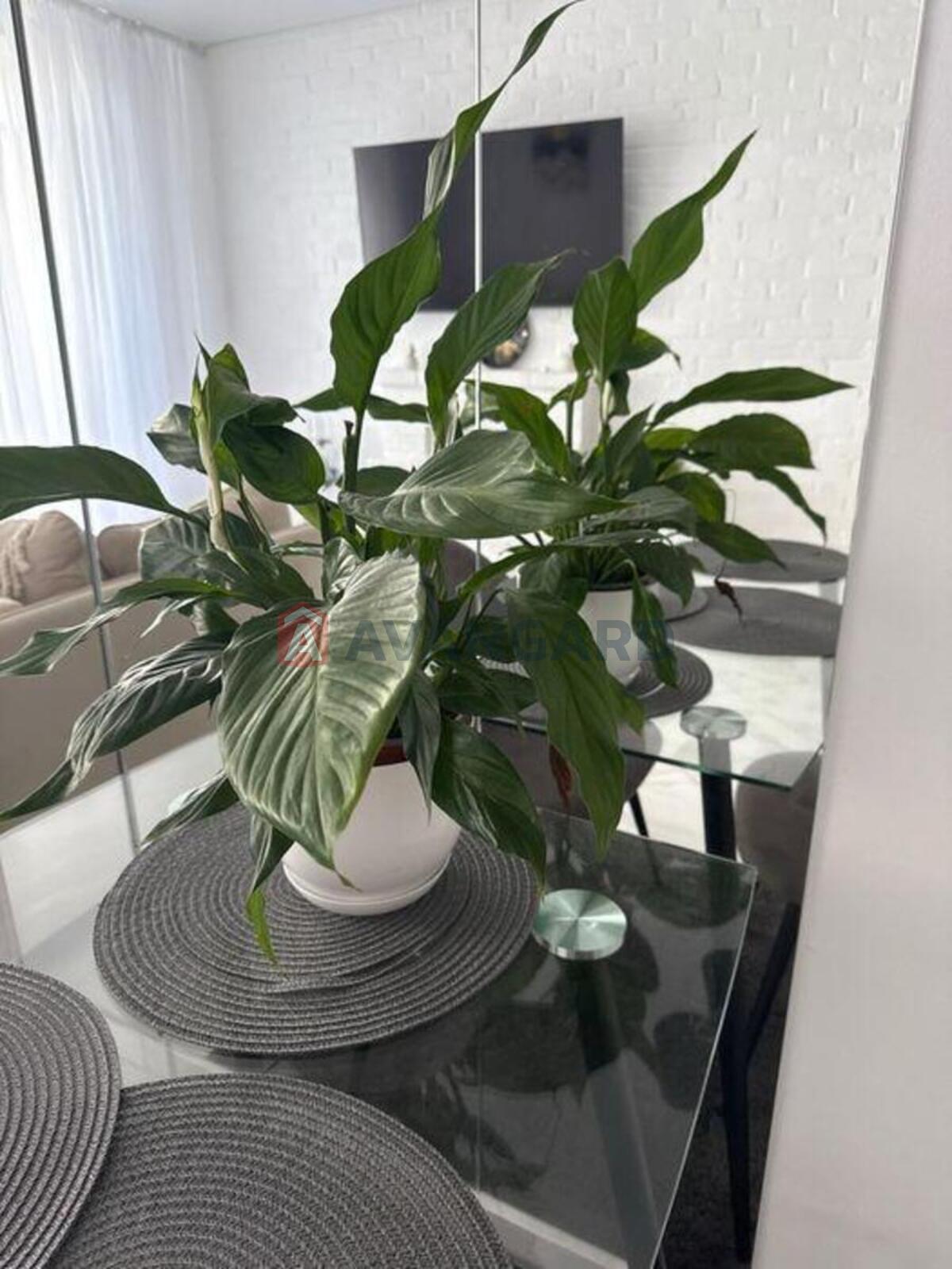 1 ��. ��������, 38/-/22 ��. �., 1/5 ������ ���� 10