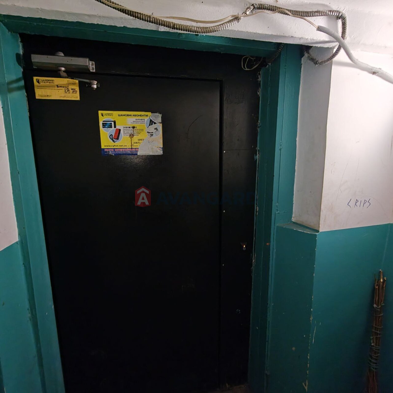 2 ����. ��������, 50/-/6 ��. �., 3/5 ���� ���� 3