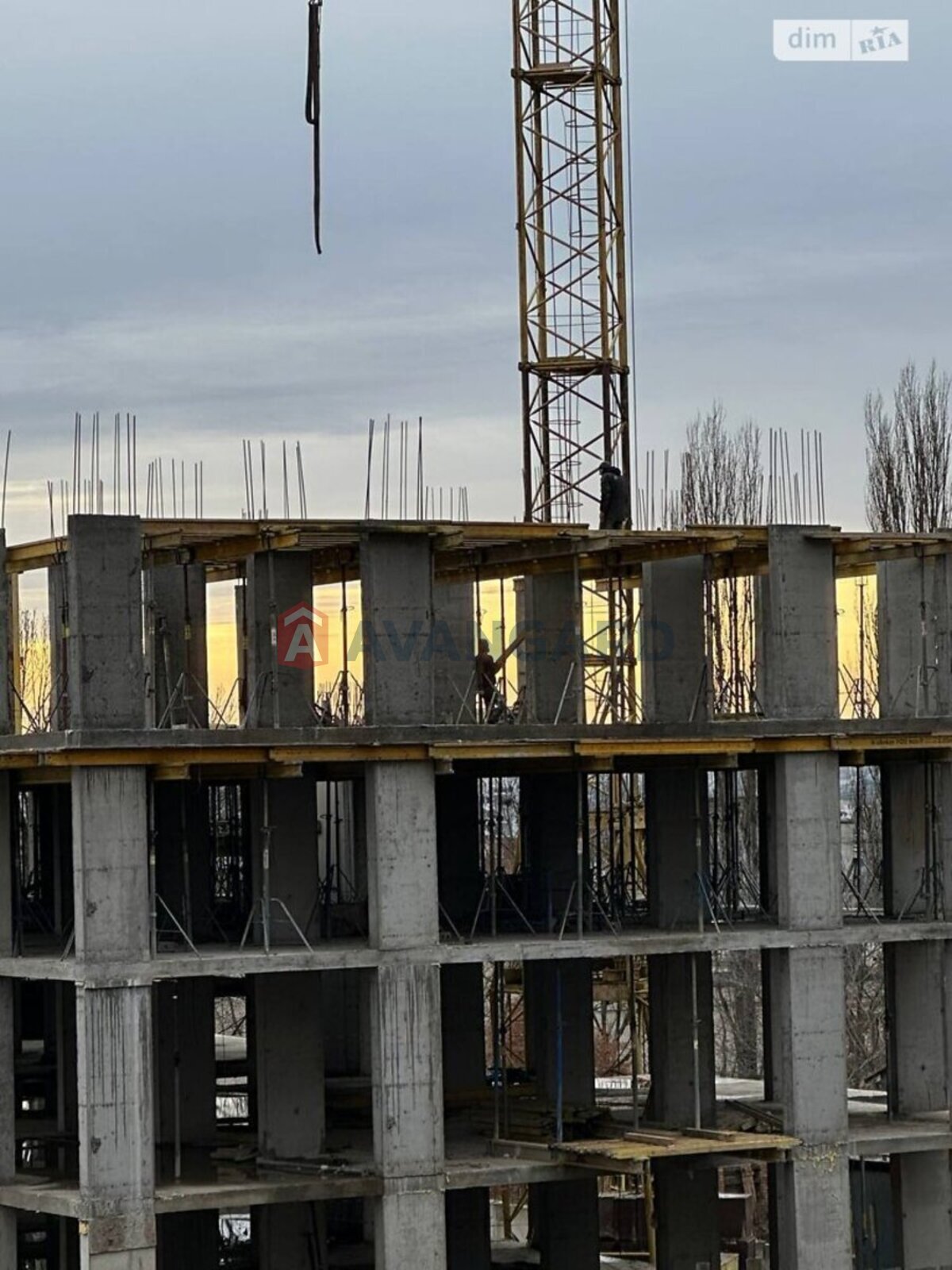 5 ��. ��������, 130/-/- ��. �., 9/10 ������ ���� 22