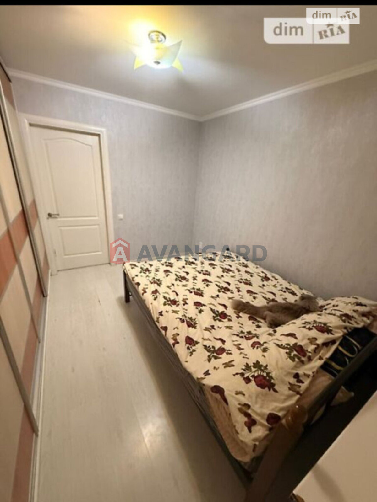 2 ��. ��������, 49/28/12 ��. �., 5/5 ������ ���� 13