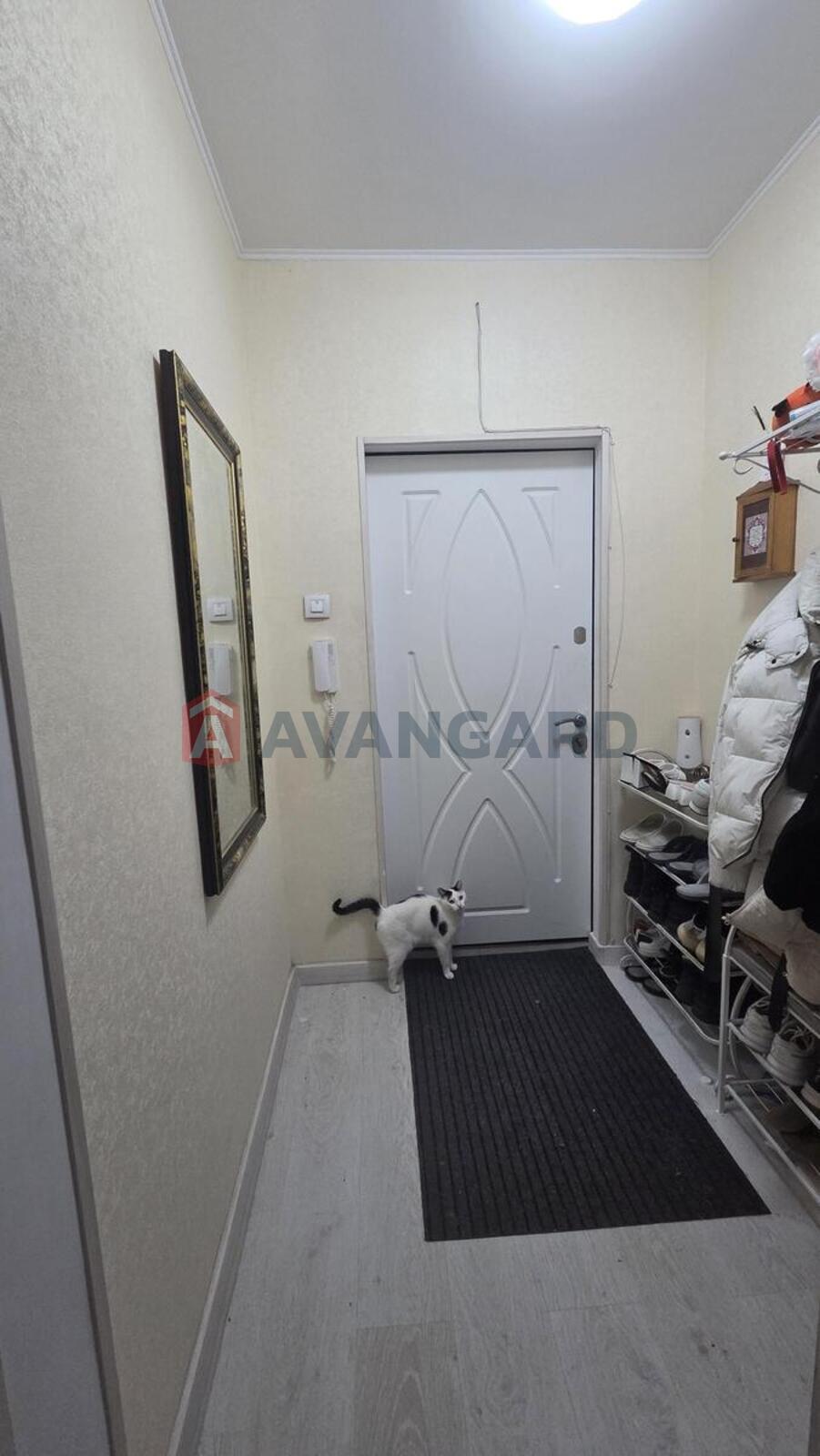 3 . , 80/42/8 . ., 16/16   21