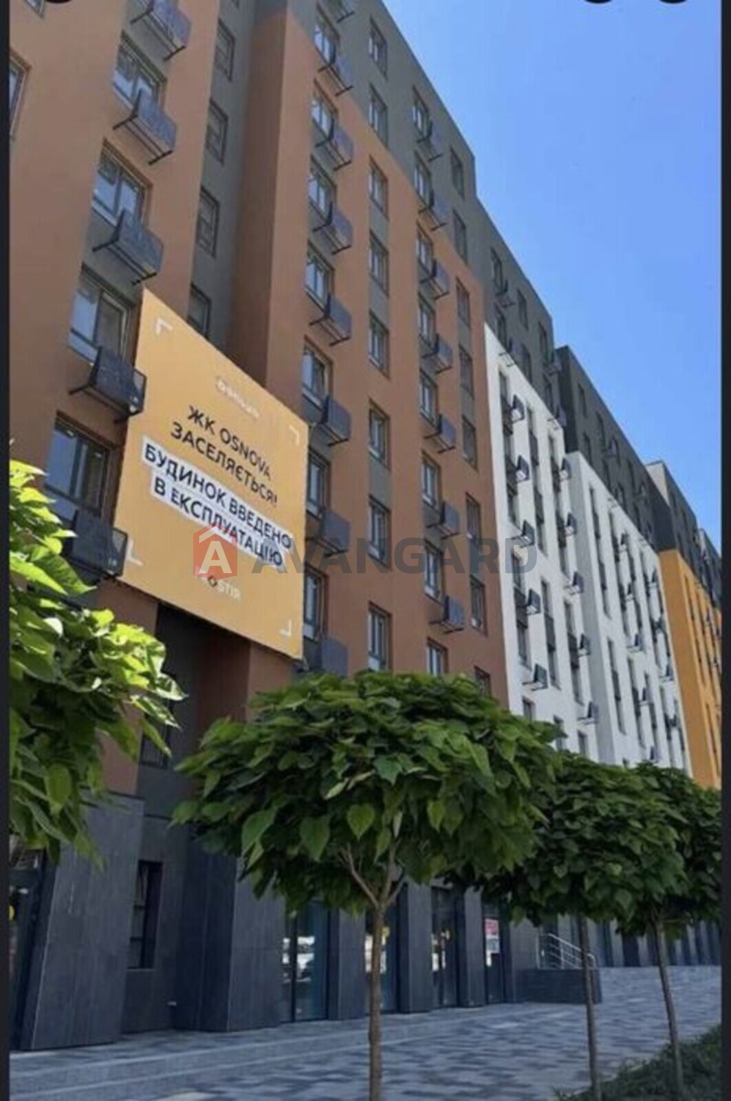 1 ��. ��������, 64/-/16 ��. �., 9/10 ������ ���� 1