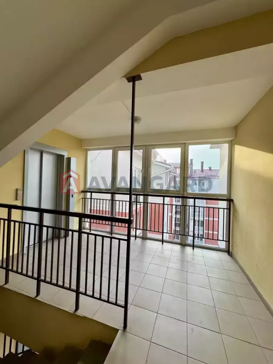 4 . , 96/55/38 . ., 6/6   14