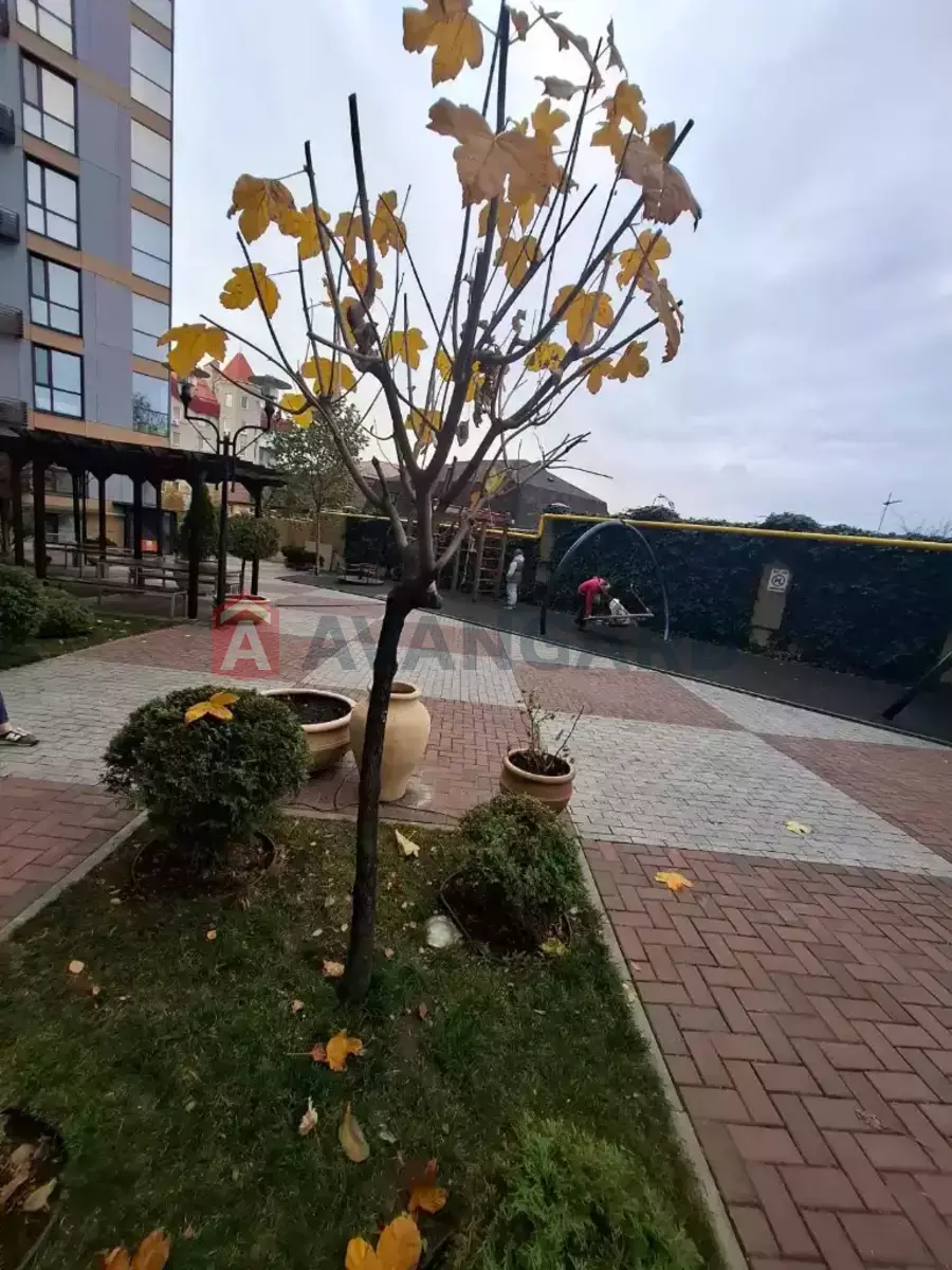 1 . , 44/20/10 . ., 6/11   14