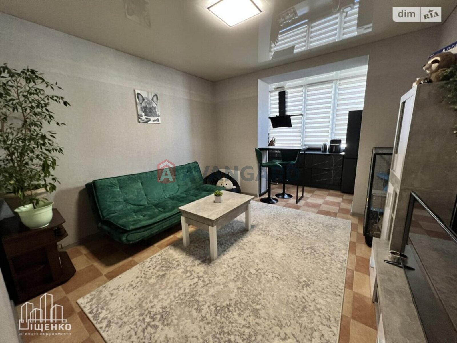 1 ��. ��������, 51/19/19 ��. �., 2/9 ������ ���� 1