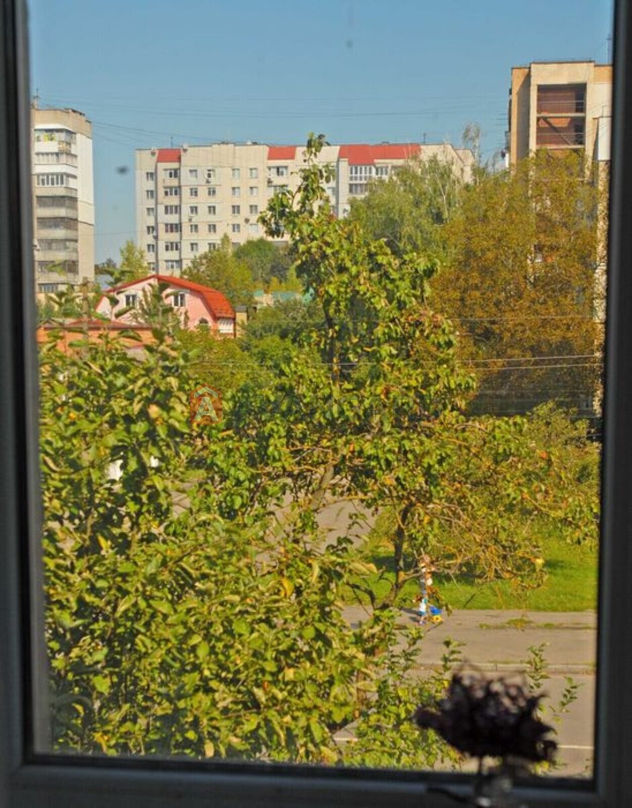 3 . , 50/-/6 . ., 3/3   21