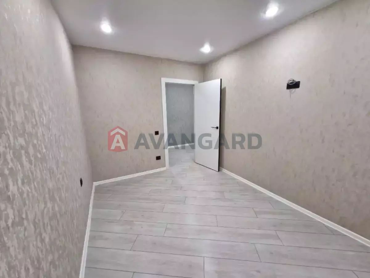 1 ��. ��������, 33/-/12 ��. �., 5/5 ������ ���� 16