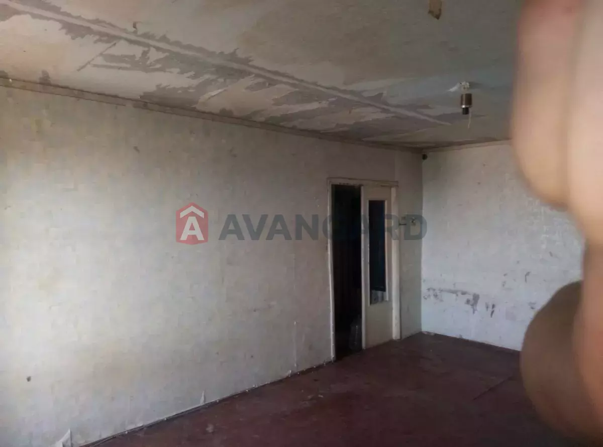 1 ��. ��������, 36/-/7 ��. �., 9/9 ������ ���� 1