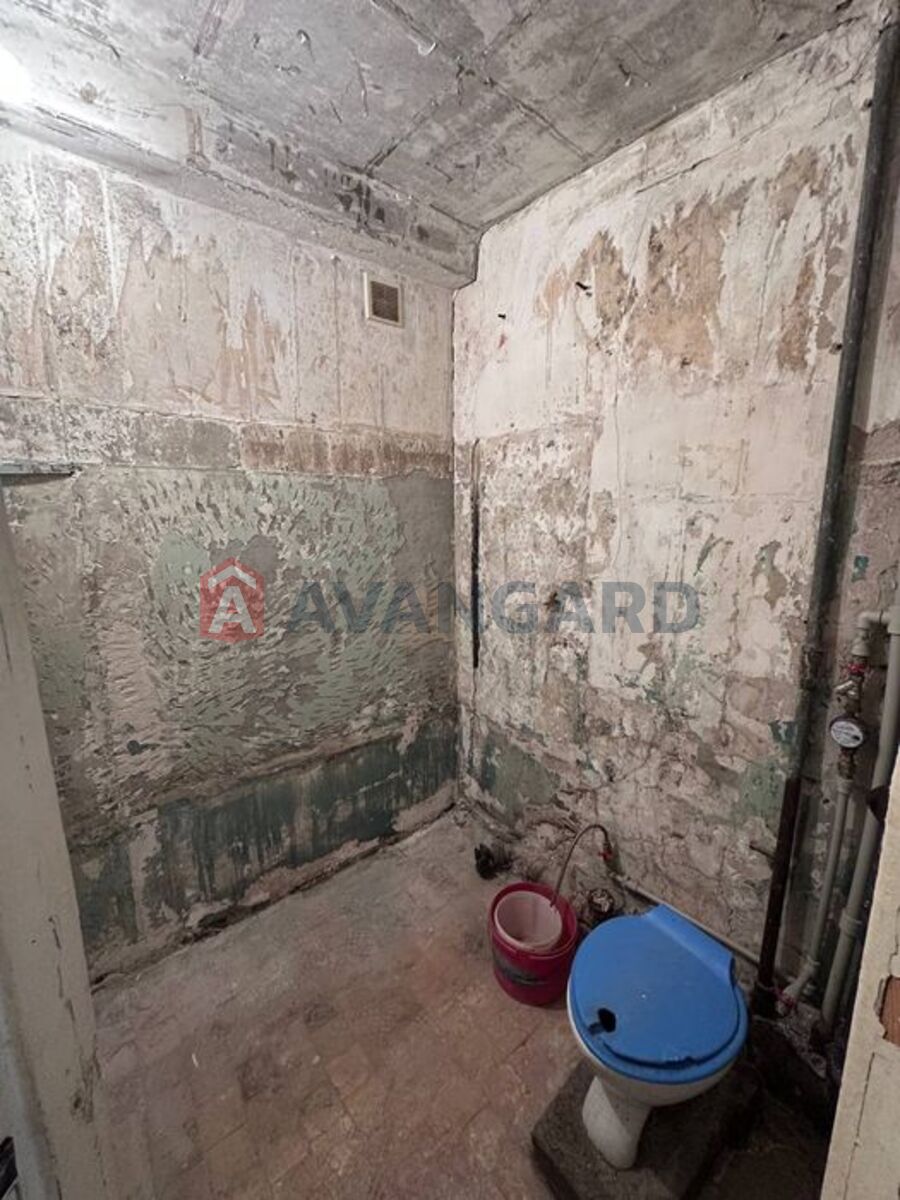 1 ����. ��������, 30/-/1 ��. �., 1/5 ���� ���� 7