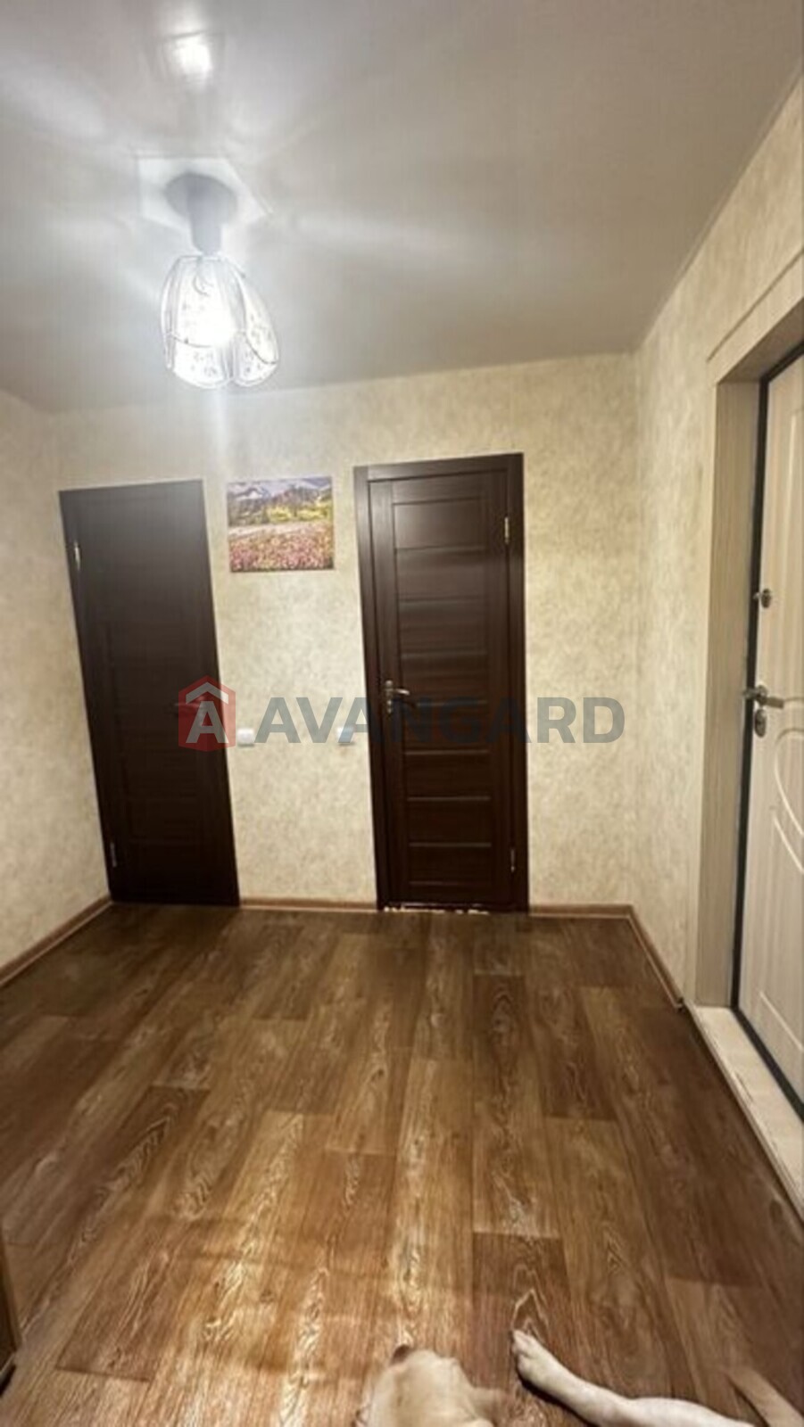 3 ��. ��������, 68/-/9 ��. �., 8/9 ������ ���� 2