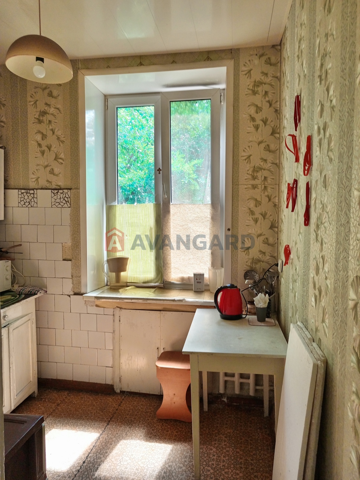 2 . , 48.9/31/5.7 . ., 3/3   11