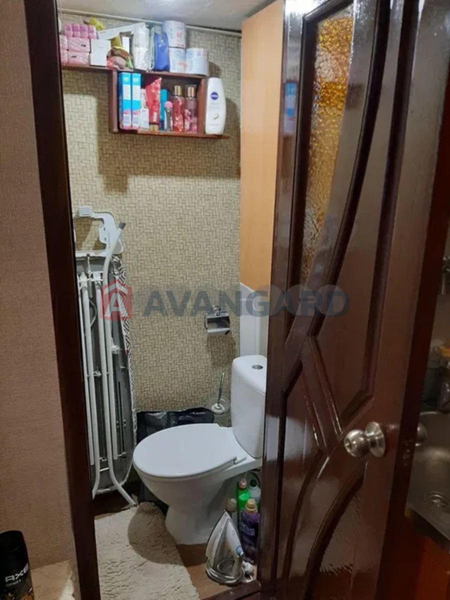 1 ��. ��������, 24/-/14 ��. �., 3/5 ������ ���� 6