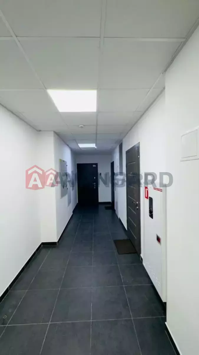 2 ��. ��������, 107/-/33 ��. �., 8/11 ������ ���� 12
