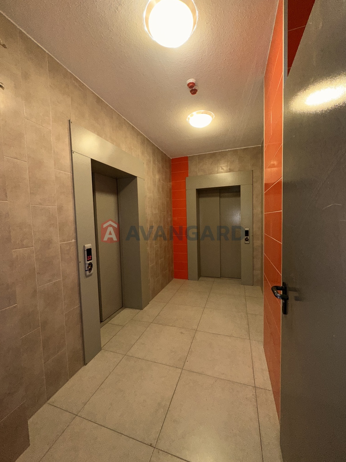 2 ����. ��������, 67,3/13,1/35,1 ��. �., 4/24 ���� ���� 13