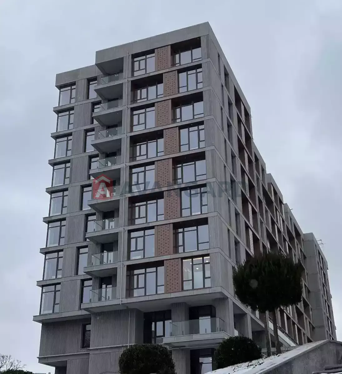 2 ��. ��������, 49/-/- ��. �., 10/10 ������ ���� 1