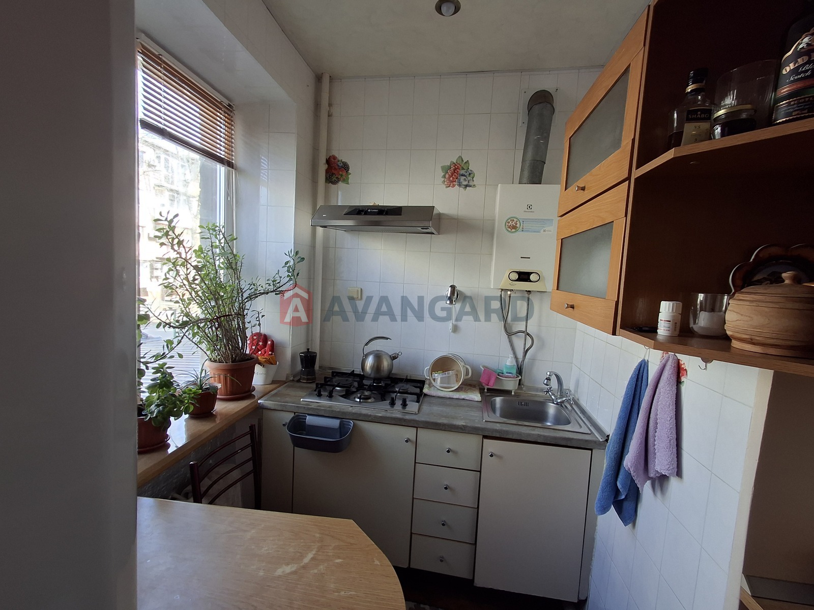 2 ����. ��������, 52/-/6 ��. �., 2/4 ���� ���� 12