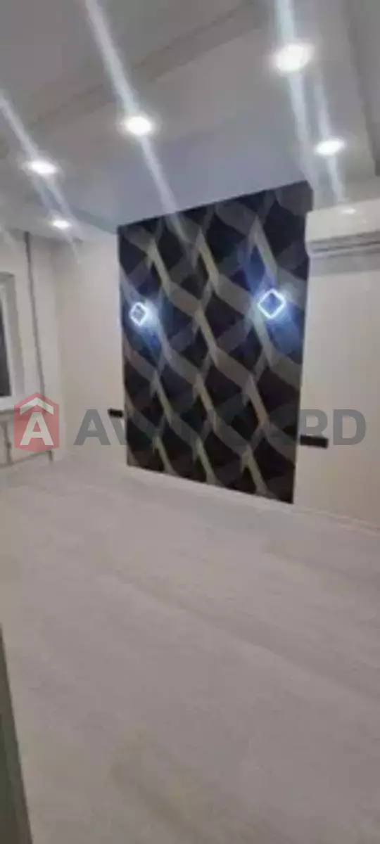 3 ��. ��������, 80/-/11 ��. �., 6/11 ������ ���� 12