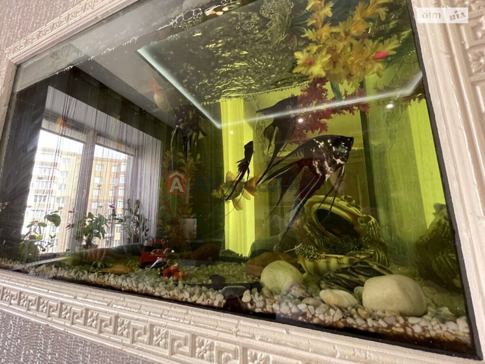 1 ����. ��������, 45/19/15 ��. �., 8/12 ���� ���� 21