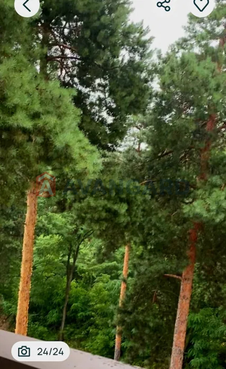 2 ��. ��������, 58/-/17 ��. �., 1/5 ������ ���� 13