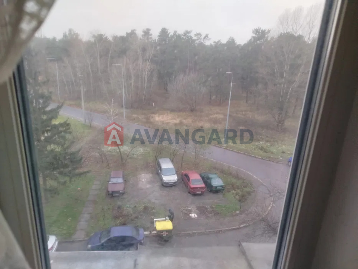 1 ����. ��������, 29/-/6 ��. �., 5/9 ���� ���� 11