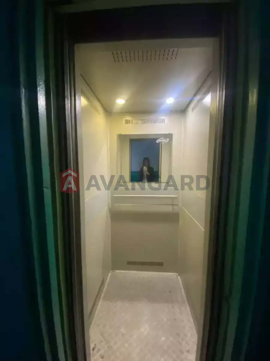 3 ����. ��������, 65/-/8 ��. �., 3/9 ���� ���� 20