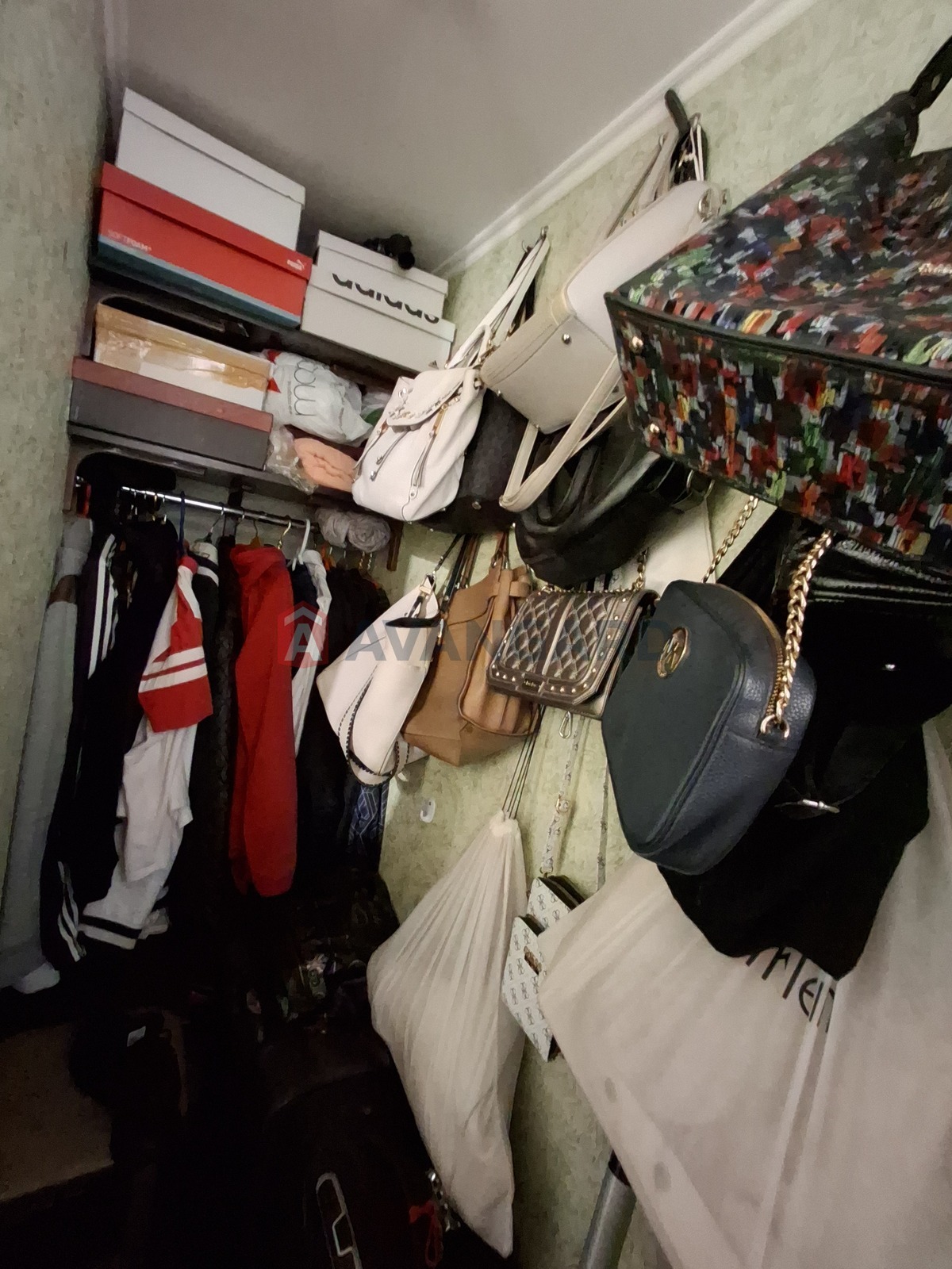 3 ����. ��������, 58/42/6 ��. �., 2/5 ���� ���� 7